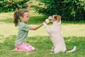 Onze Hond Magazine geeft drie tips om een veilige interactie tussen hond en kind te creëren.