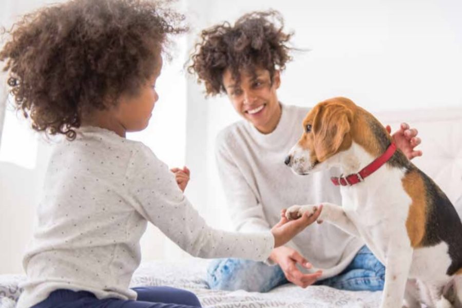 invoegen Fascineren slecht humeur Onze Hond | Artikel over kinderen en honden